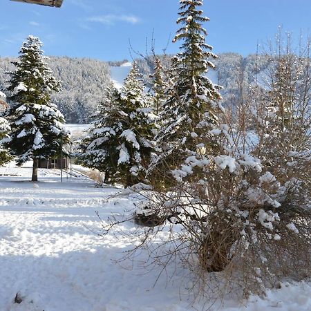 Villard De Lans Eksteriør billede