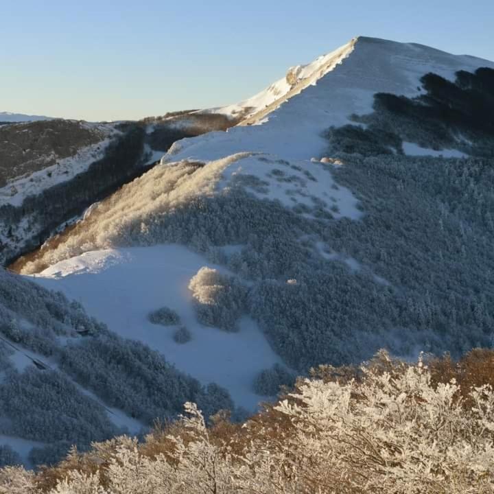 Villard De Lans Eksteriør billede
