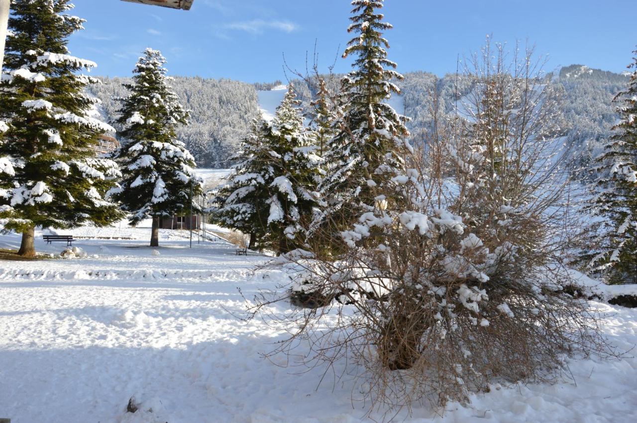 Villard De Lans Eksteriør billede